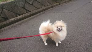 朝のお時間 2019/8/28