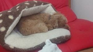 昼過ぎのお時間 2019/8/28