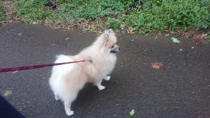 夜のお時間 2019/8/28