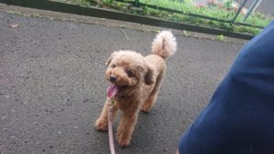 朝のお時間 2019/8/29