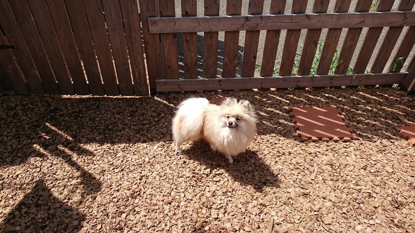 昼のお時間 2019/8/29