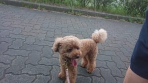 夜のお時間 2019/8/29