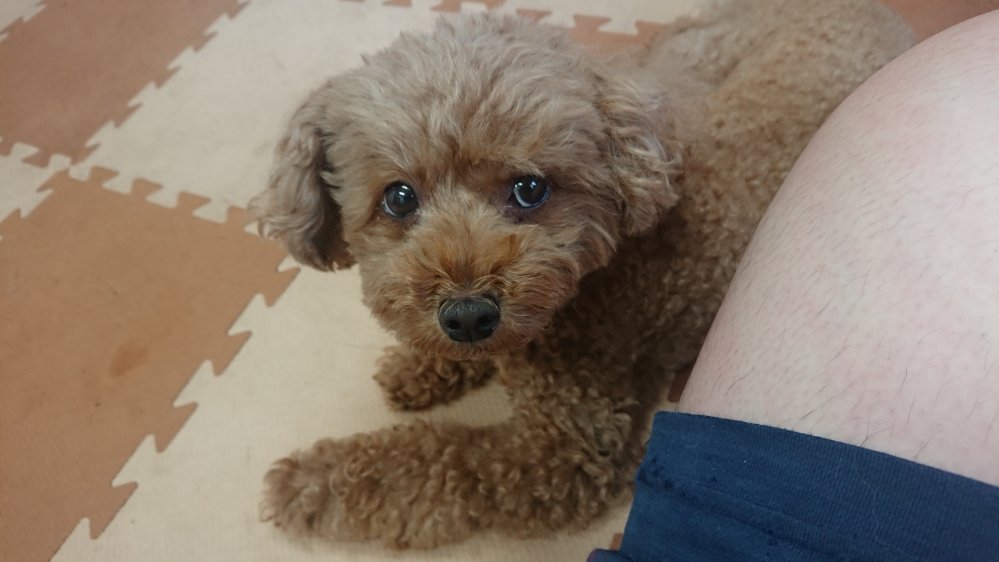 昼のお時間 2019/8/30