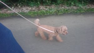 夜のお時間 2019/8/30