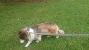 朝のお時間 2019/8/31