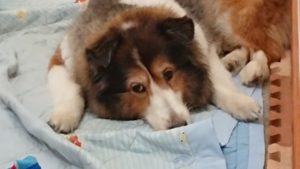 バレた！ 2019/8/31