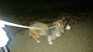 夜のお時間 2019/8/31