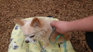 朝のお時間 2019/9/1