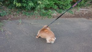 朝のお時間 2019/9/2