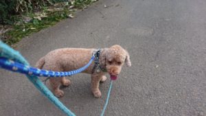 夜のお時間 2019/9/2