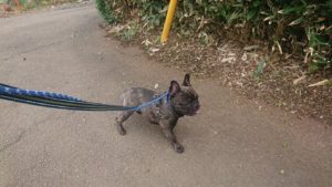 朝のお時間！ 2019/9/3