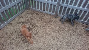 夜のお時間 2019/9/3