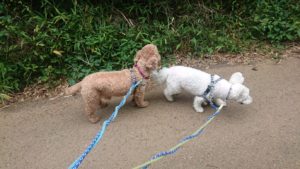 朝のお時間 2019/9/4