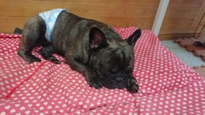 昼のお時間 2019/9/4