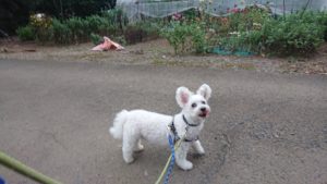 夜のお時間 2019/9/4