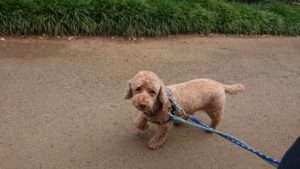 朝のお時間 2019/9/5