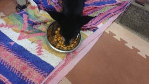 昼のお時間 2019/9/5