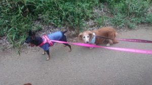 夜のお時間 2019/9/5