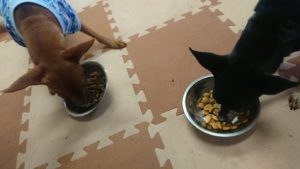 昼のお時間 2019/9/6