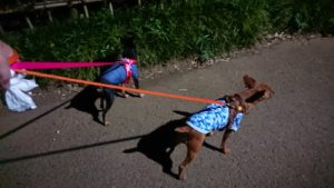 夜のお時間 2019/9/6