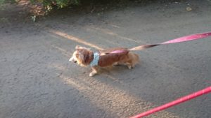 夜のお時間 2019/9/7