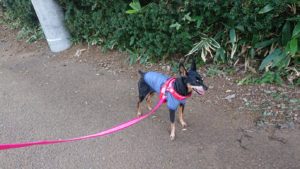 朝のお時間 2019/9/8