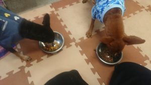 昼のお時間 2019/9/8