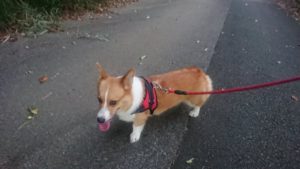 夜のお時間 2019/9/8