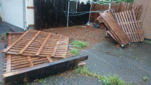 まだ元気だったのに！！ 2019/9/9