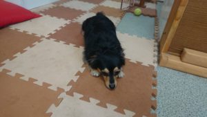 昼のお時間 2019/9/9