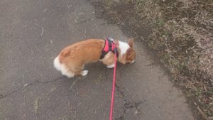 朝からお昼のお時間 2019/9/11