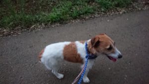 夜のお時間 2019/9/11