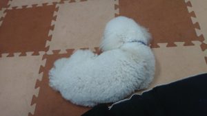 昼のお時間 2019/9/12