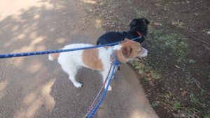 夜のお時間 2019/9/12