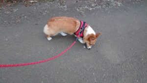 夜のお時間 2019/9/13