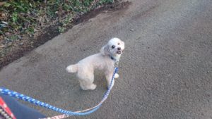 夜のお時間 2019/9/14