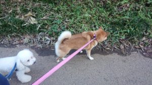 朝のお時間 2019/9/15