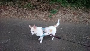 夜のお時間 2019/9/15