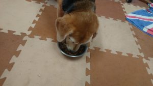 午後のお時間！ 2019/9/16