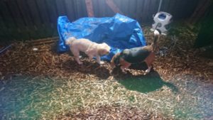 今日は１日 2019/9/16