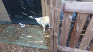 朝のお時間 2019/9/17