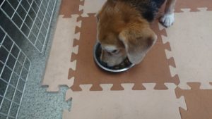 昼のお時間 2019/9/17