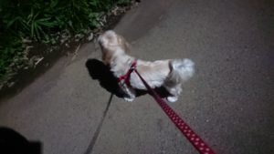 夜のお時間 2019/9/17