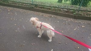 朝のお時間 2019/9/18