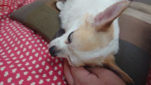 昼のお時間 2019/9/18