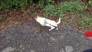 朝のお時間 2019/9/19