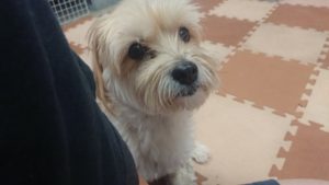 午後のお時間 2019/9/19