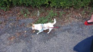 朝のお時間 2019/9/20