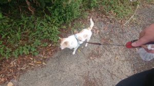 朝のお時間 2019/9/21