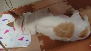 午後のお時間 2019/9/21